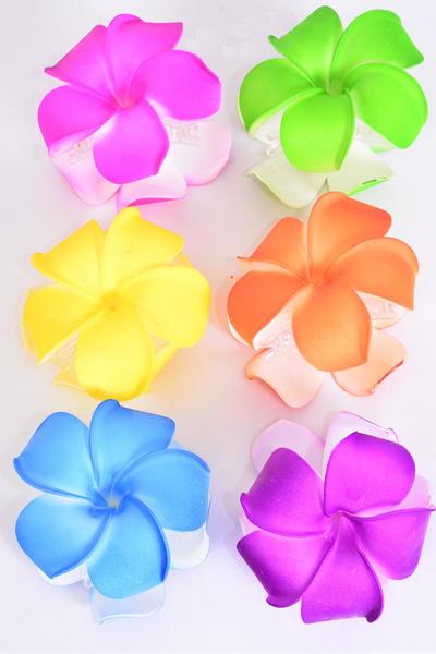 Flower Jaw Clip Large Aloha Multi / 12 pcs = Dozen Flower Size - 3" Wide , 2 of each Color Asst , Hang Tag & UPC Code , Clear Box