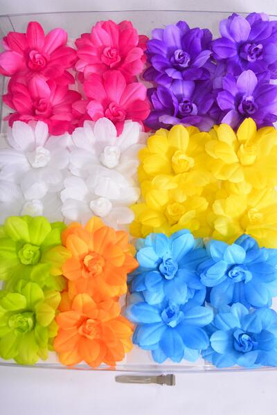 Flower Daisy 24 pcs Multi / 24 pcs Flower = Dozen Flower Size - 2.75" Wide , 2 Fuchsia , 2 Purple , 2 Yellow , 2 White , 1 Blue , 1 Hot Pink , 1 Lime , 1 Orange Color Asst