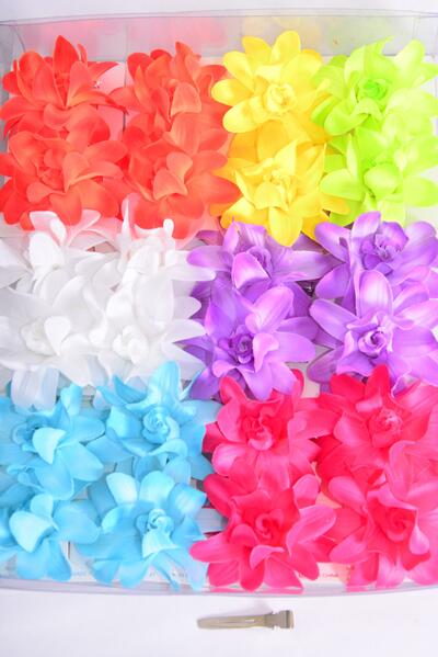 Flowers 24 pcs Alligator Clip Citrus / 24 pcs Flower = Dozen  Alligator Clip , Flower Size - 2.75" Wide , 2 Blue , 2 Hot Pink , 2 Purple , 2 Blue , 1 Pink , 1 Yellow , 1 Lime , 1 Orange , 8 Color Asst