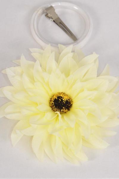 Flower Silk Flower Gerber Daisy Cream Beige / 12 pcs Flower = Dozen  Size - 5" Wide , Alligator Clip & Brooch & Elastic Pony , Display card & UPC Code , W Clear Box