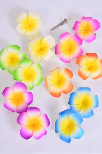 Flower 24 pcs Aloha Gradient Pastel / 24 pcs Flower = Dozen Alligator Clip , Flower - 2.5" Wide , 2 of each Pattern Asst , Display Card & UPC Code , Clear Box , 2 pcs per Card , 12 card = Dozen